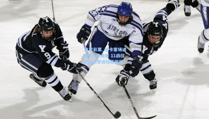  体育彩票_纽卡客场进攻哑火成顽疾 11战仅2胜6场零进球陷困局