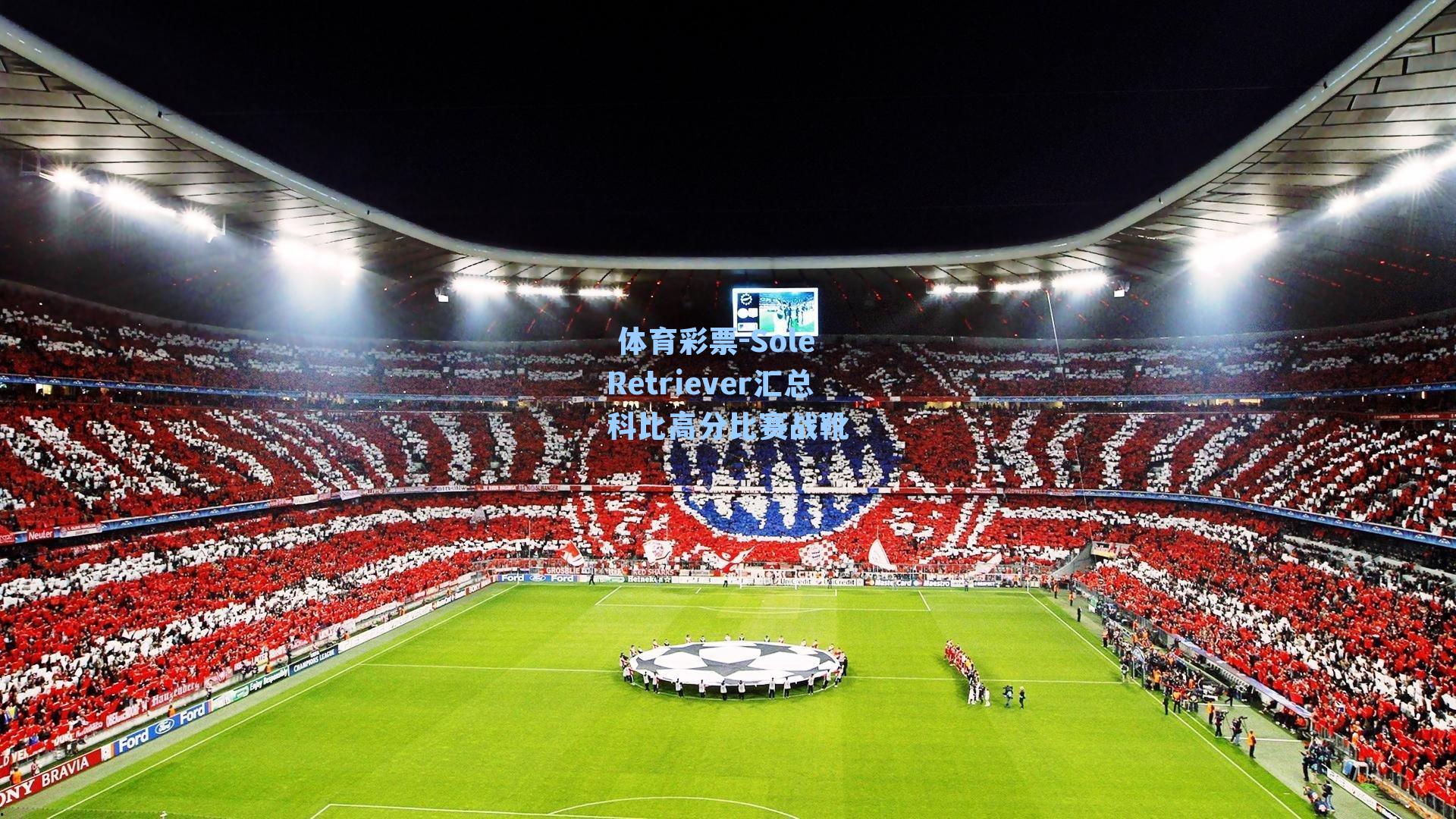 Sole Retriever汇总科比高分比赛战靴