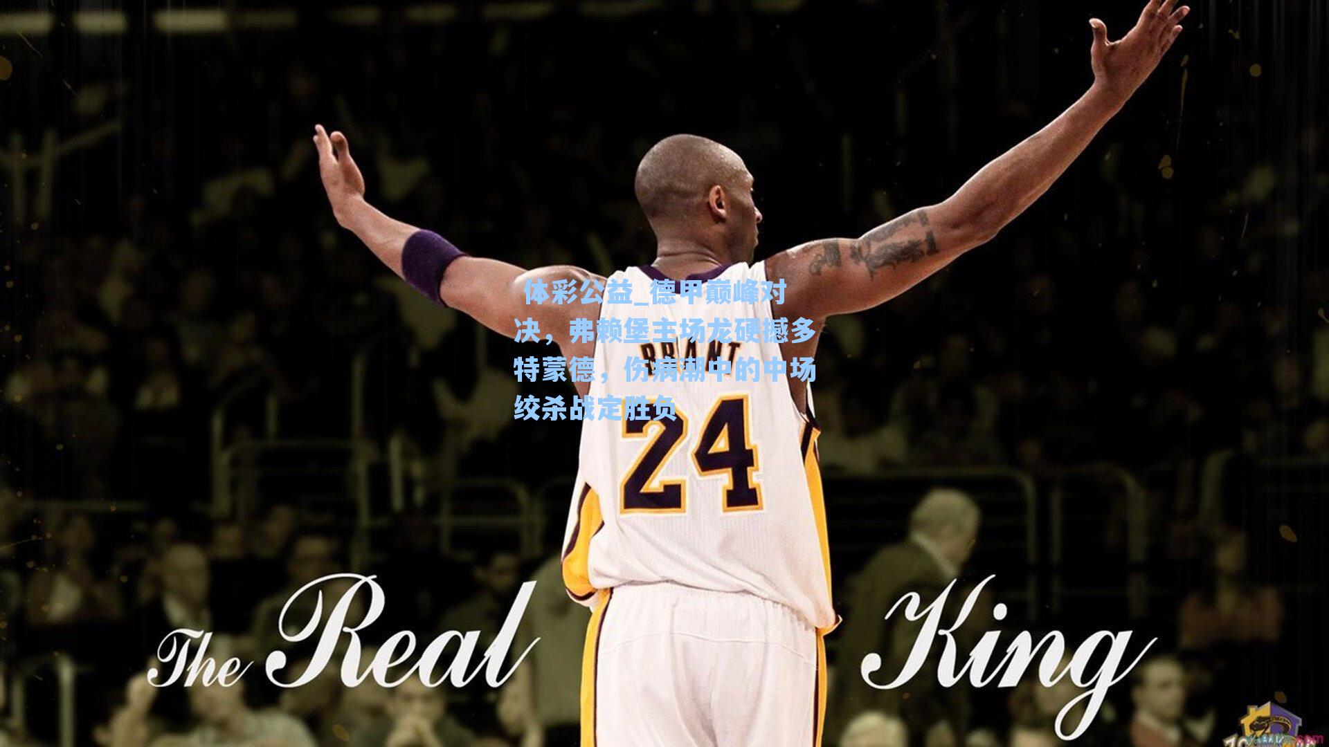 德甲巅峰对决，弗赖堡主场龙硬撼多特蒙德，伤病潮中的中场绞杀战定胜负